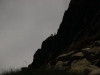 Trekking-pyrenees-valier-isards1